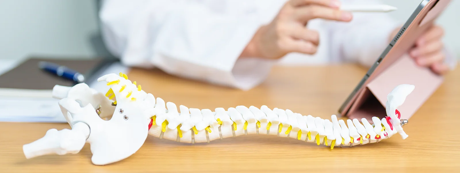 Orthopedic Spine Surgery